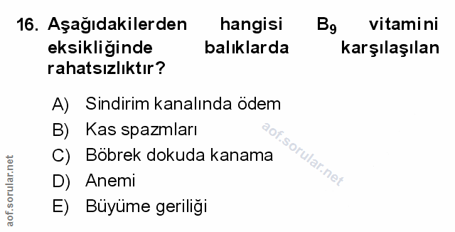 Soru 16