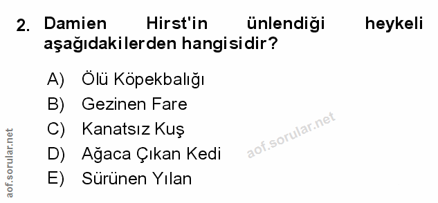 Soru 2