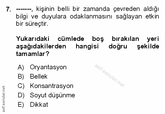 Soru 7