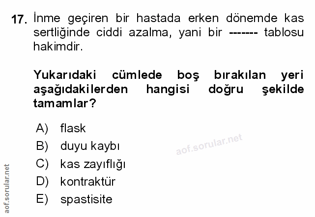 Soru 17