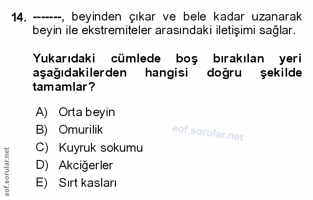 Soru 14