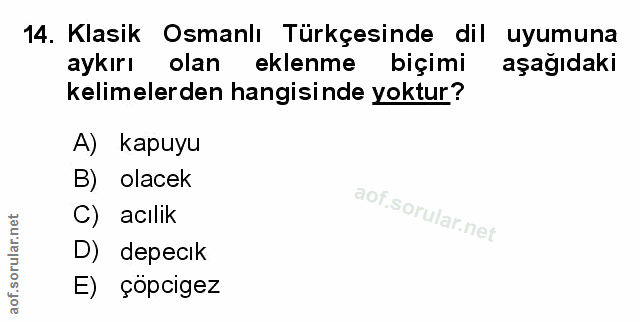 Soru 14