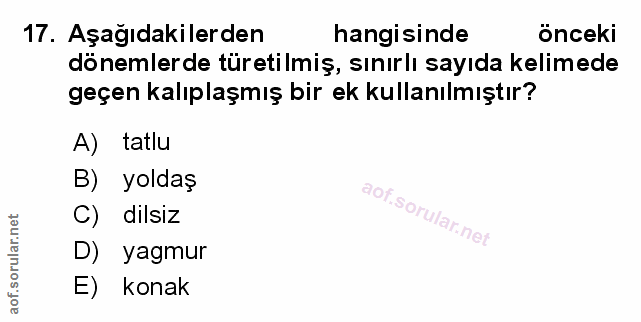 Soru 17