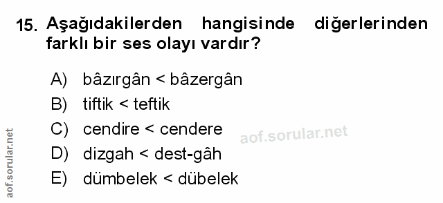 Soru 15