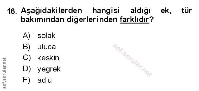 Soru 16