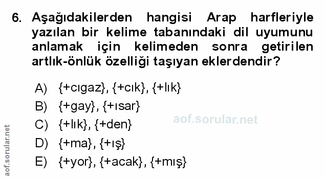 Soru 6