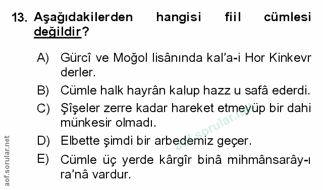 Soru 13