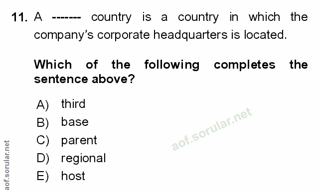 Soru 11