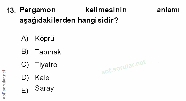 Soru 13