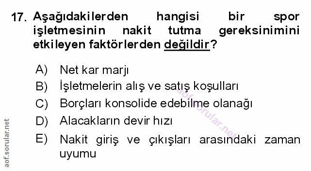 Soru 17