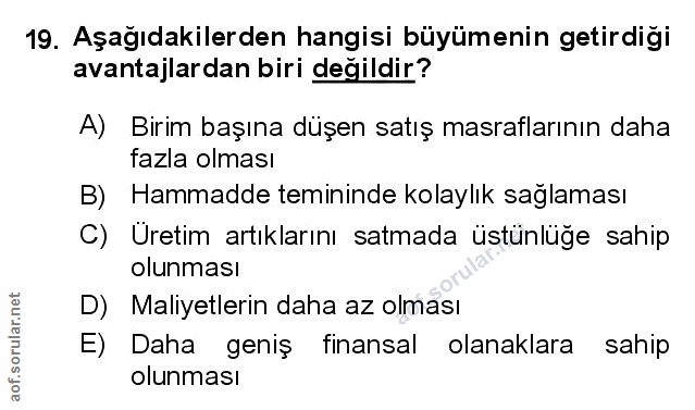 Soru 19