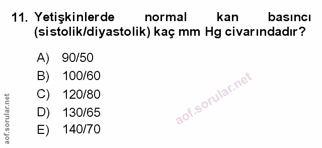Soru 11