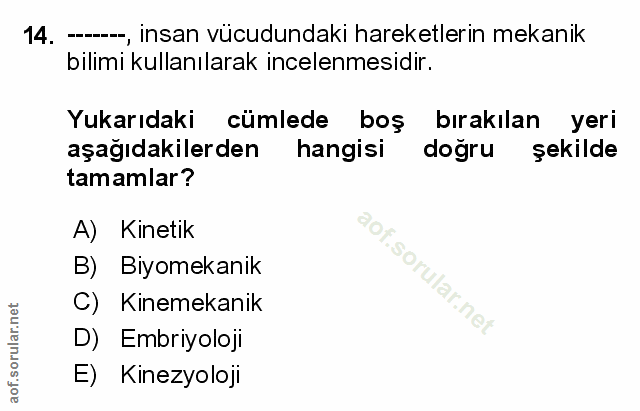 Soru 14