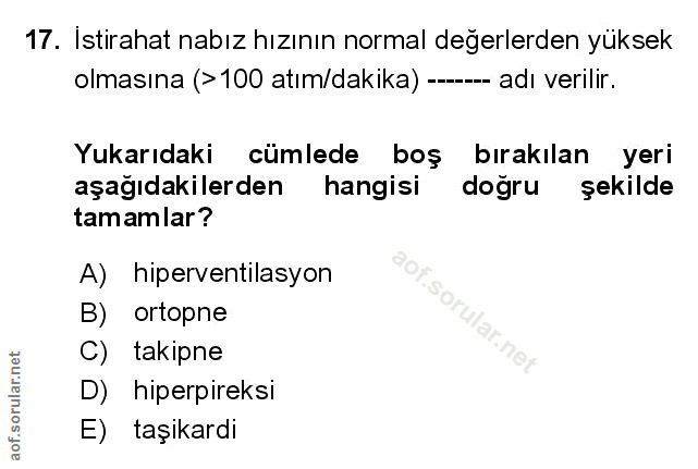 Soru 17
