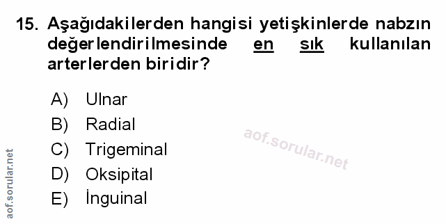 Soru 15