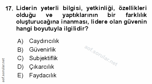 Soru 17