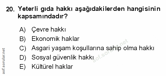 Soru 20