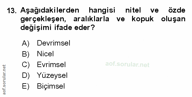 Soru 13
