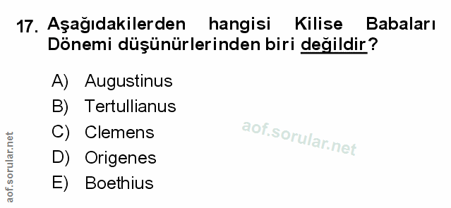Soru 17