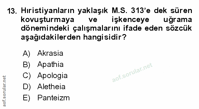 Soru 13