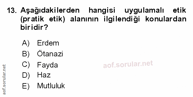 Soru 13