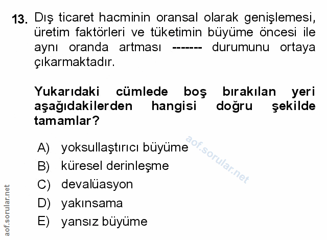 Soru 13