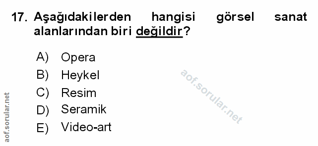 Soru 17