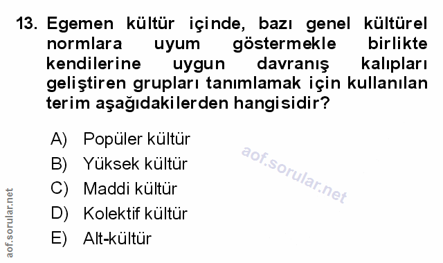 Soru 13