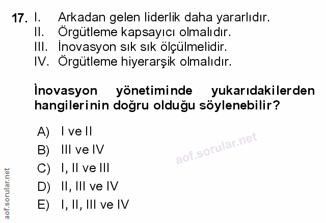 Soru 17