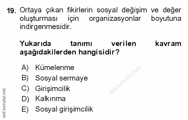 Soru 19