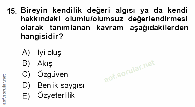 Soru 15
