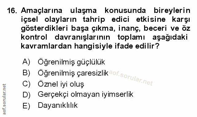 Soru 16