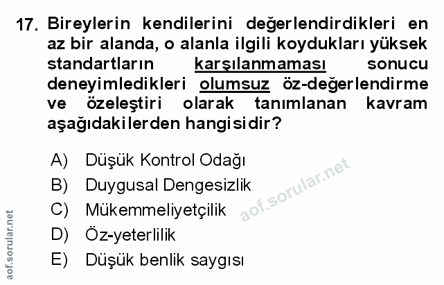 Soru 17