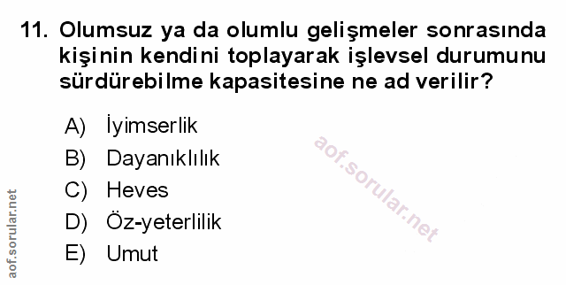 Soru 11