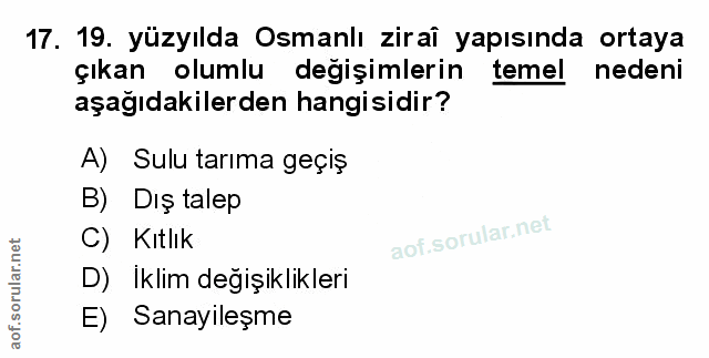 Soru 17