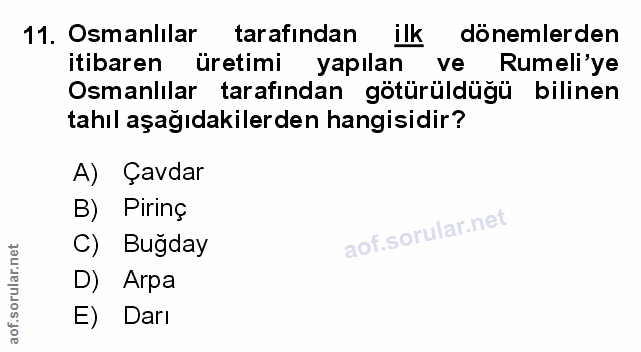 Soru 11