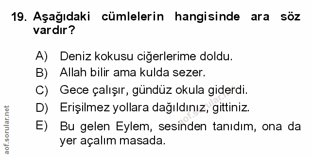Soru 19