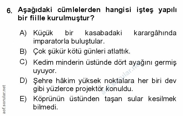 Soru 6