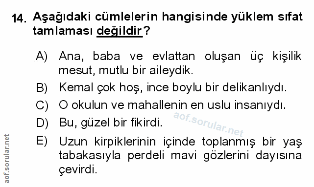 Soru 14