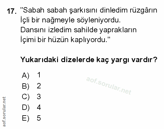 Soru 17