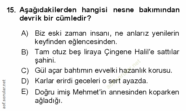 Soru 15