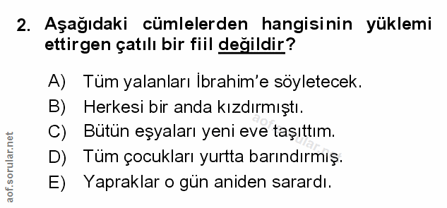 Soru 2