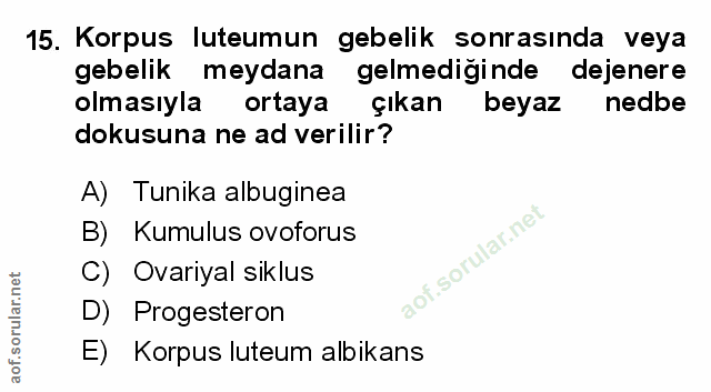 Soru 15