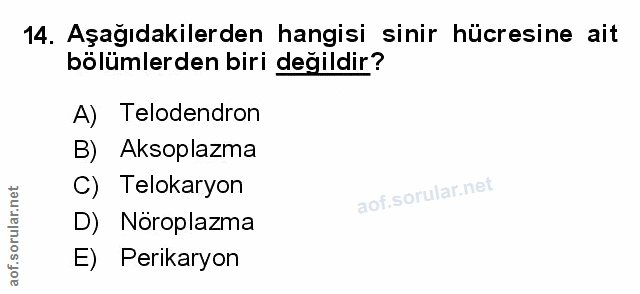 Soru 14