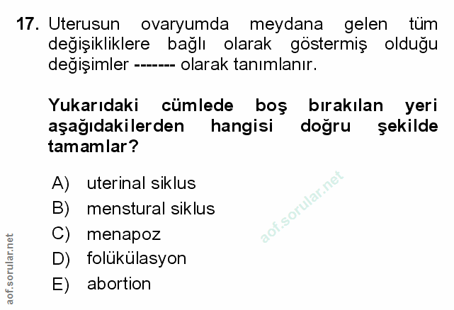 Soru 17