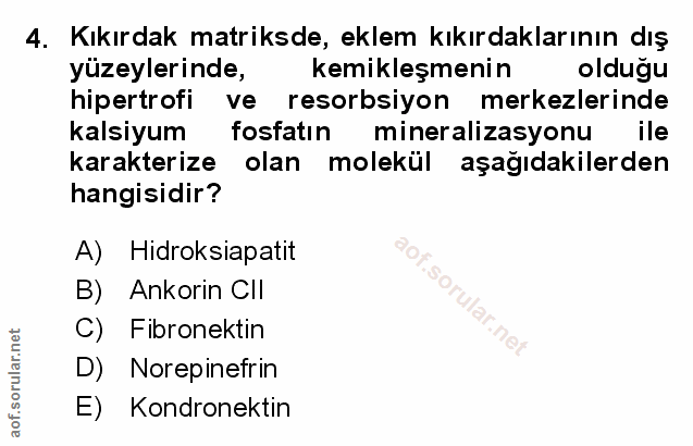 Soru 4