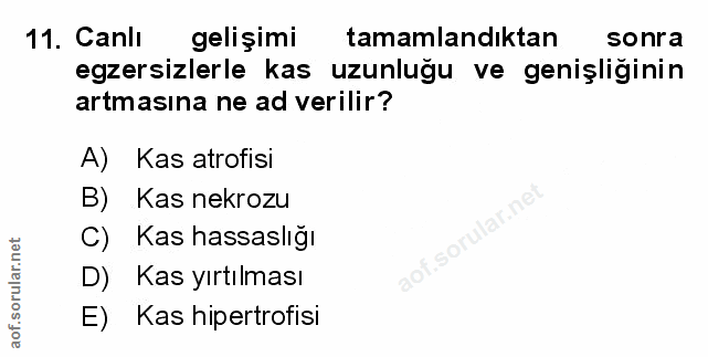 Soru 11