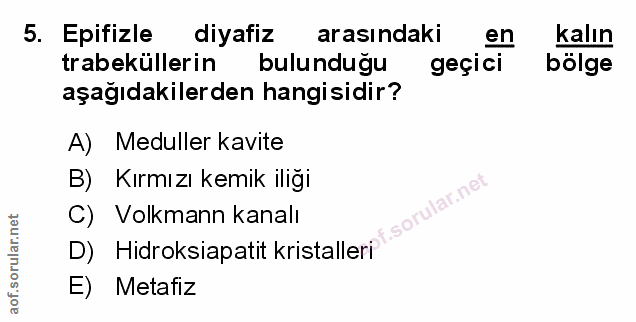 Soru 5