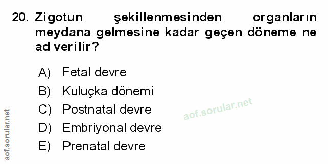 Soru 20