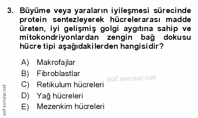 Soru 3